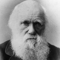 Charles Darwin, Marketer